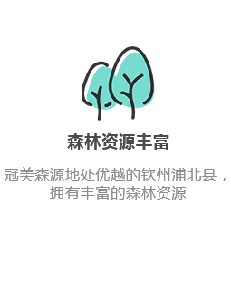 森林資源豐富